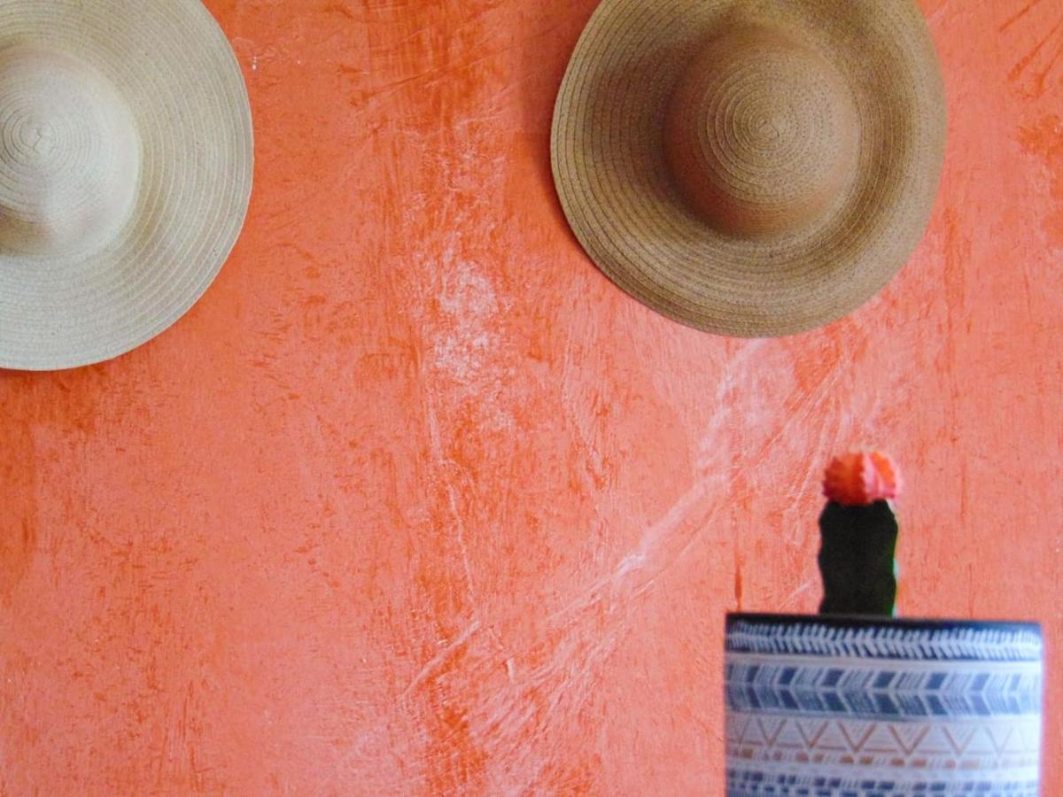 The Orange Cactus Διαμέρισμα Σπάρτη Εξωτερικό φωτογραφία